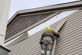 Best Vinyl Siding Installation  in Bethany, IL